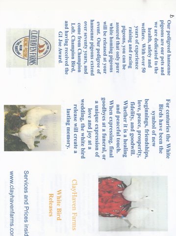 ClayHaven Farms White Bird Release